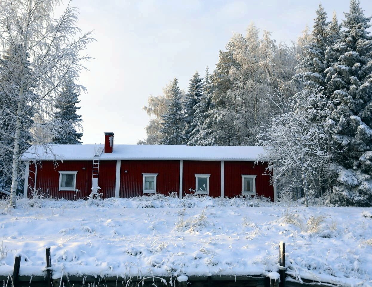 Halosenniemi in winter